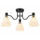 Потолочная люстра Ambrella Light Modern TR303303