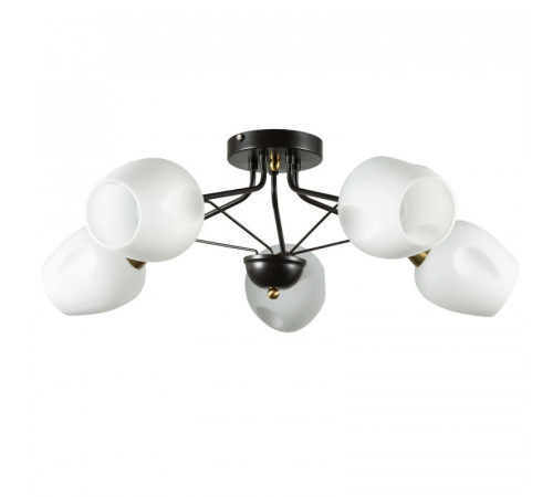 Потолочная люстра ARTE Lamp A2706PL-5CK Потолочная люстра ARTE Lamp A2706PL-5CK