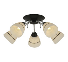 Потолочная люстра Toplight Winnifred TL1255D-05BC