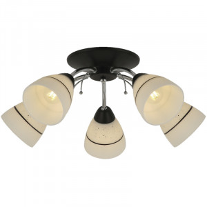 Потолочная люстра Toplight Winnifred TL1255D-05BC