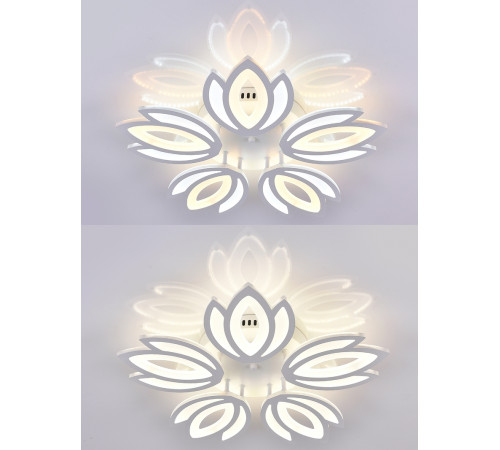 Потолочная люстра Natali Kovaltseva LED LAMPS 81124 Потолочная люстра Natali Kovaltseva LED LAMPS 81124