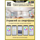 Потолочная люстра Citilux Стратус Смарт CL732A660G