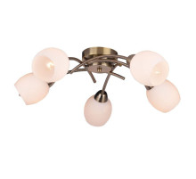 Потолочная люстра Toplight Merry TL3780X-05AB