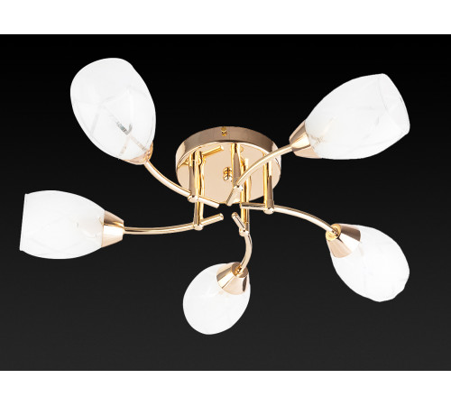 Потолочная люстра Toplight Lucy TL7120X-05FG