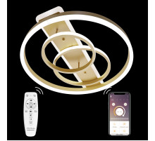 Потолочная люстра Natali Kovaltseva LED LAMPS 81302