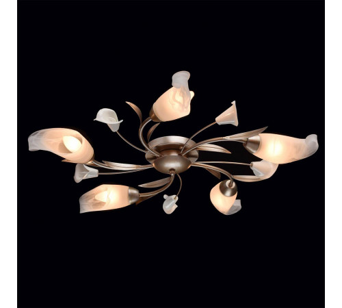 Потолочная люстра MW-Light Восторг 19 242016205