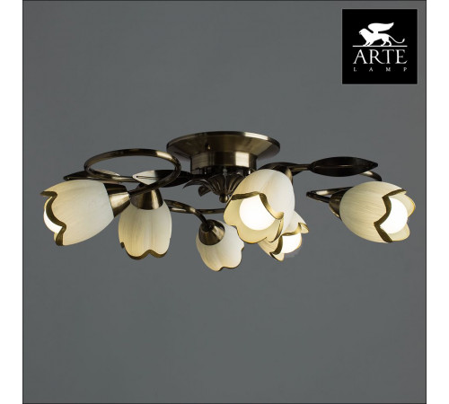 Потолочная люстра Arte Lamp 4 A6061PL-6AB Потолочная люстра Arte Lamp 4 A6061PL-6AB