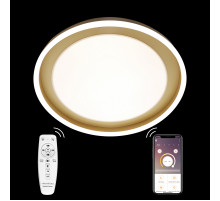Потолочная люстра Natali Kovaltseva LED LAMPS 81301