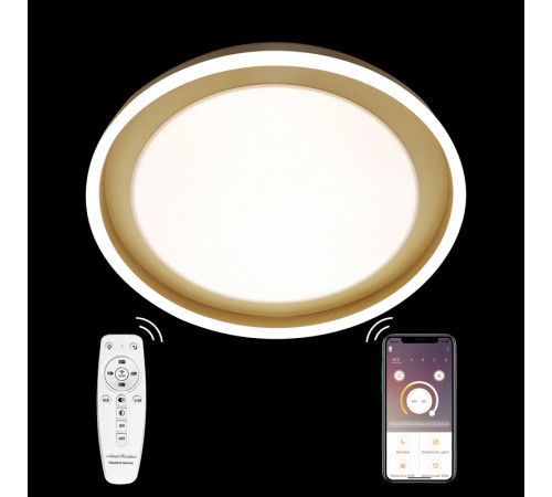 Потолочная люстра Natali Kovaltseva LED LAMPS 81301 Потолочная люстра Natali Kovaltseva LED LAMPS 81301