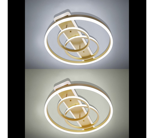 Потолочная люстра Natali Kovaltseva LED LAMPS 81302 Потолочная люстра Natali Kovaltseva LED LAMPS 81302