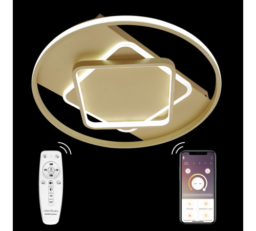 Потолочная люстра Natali Kovaltseva LED LAMPS 81317 Потолочная люстра Natali Kovaltseva LED LAMPS 81317