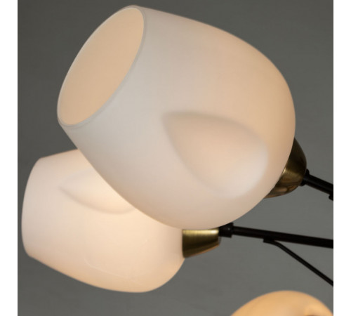 Потолочная люстра ARTE Lamp A2706PL-8CK