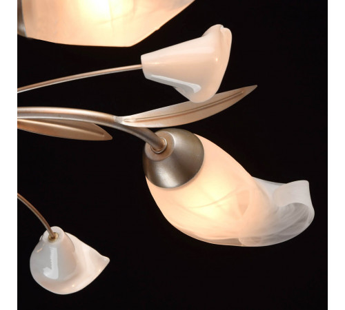 Потолочная люстра MW-Light Восторг 19 242016205