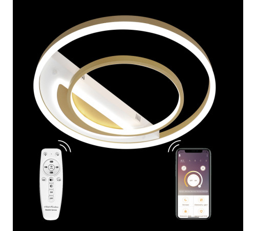 Потолочная люстра Natali Kovaltseva LED LAMPS 81311