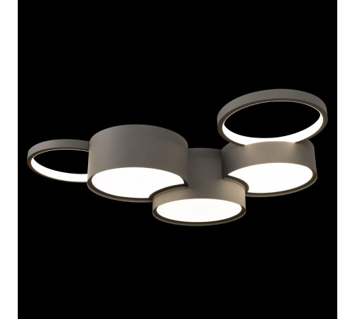 Потолочная люстра Loft IT Pin 10317/5 Grey