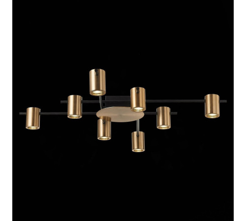 Потолочная люстра ST Luce Veroli SL1207.402.08 Потолочная люстра ST Luce Veroli SL1207.402.08