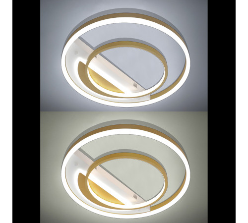 Потолочная люстра Natali Kovaltseva LED LAMPS 81311