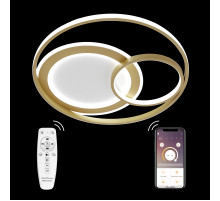 Потолочная люстра Natali Kovaltseva LED LAMPS 81312