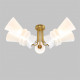 Потолочная люстра IMEX Bloom MD.9345-5-S-BR