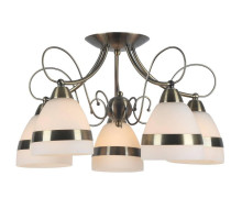 Потолочная люстра Arte Lamp 55 A6192PL-5AB