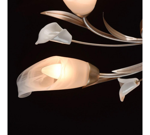 Потолочная люстра MW-Light Восторг 19 242016205