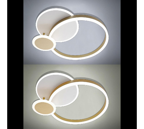 Потолочная люстра Natali Kovaltseva LED LAMPS 81303 Потолочная люстра Natali Kovaltseva LED LAMPS 81303
