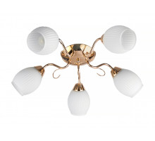 Потолочная люстра Toplight Kristin TL3520X-05FG