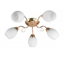 Потолочная люстра Toplight Kristin TL3520X-05FG
