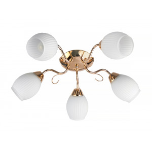 Потолочная люстра Toplight Kristin TL3520X-05FG