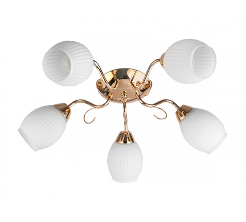 Потолочная люстра Toplight Kristin TL3520X-05FG Потолочная люстра Toplight Kristin TL3520X-05FG