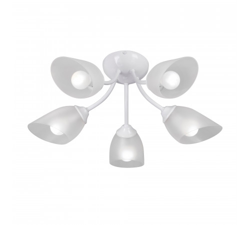 Потолочная люстра Vitaluce V3405-0/5PL Потолочная люстра Vitaluce V3405-0/5PL