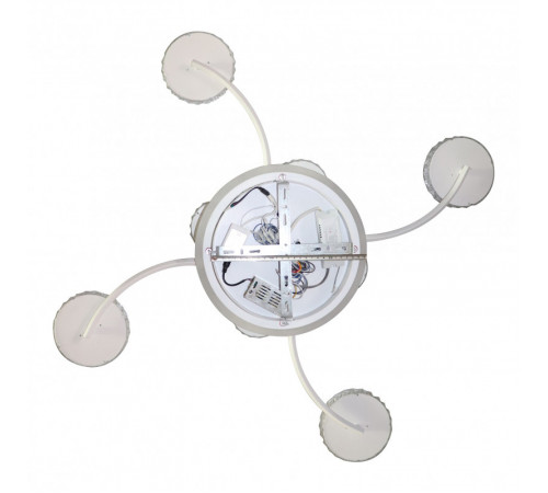 Потолочная люстра Natali Kovaltseva HIGH-TECH LED LAMPS 82015 Потолочная люстра Natali Kovaltseva HIGH-TECH LED LAMPS 82015