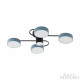 Потолочная люстра Arte Milano Ferrara 253039/4+1 Bk/Gr