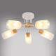 Потолочная люстра MyFar Linda MR1860-5C