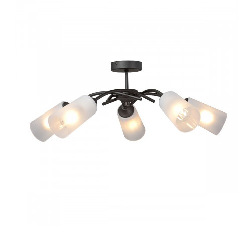 Потолочная люстра Vitaluce V2850-1/5PL Потолочная люстра Vitaluce V2850-1/5PL
