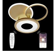 Потолочная люстра Natali Kovaltseva LED LAMPS 81300