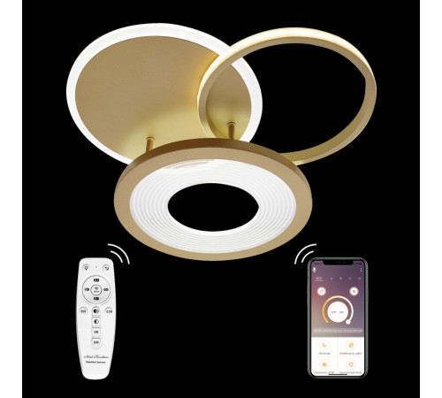 Потолочная люстра Natali Kovaltseva LED LAMPS 81300 Потолочная люстра Natali Kovaltseva LED LAMPS 81300