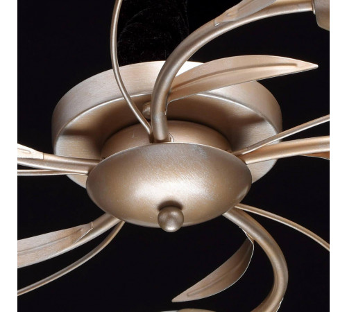 Потолочная люстра MW-Light Восторг 19 242016205