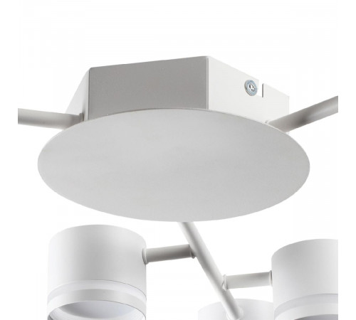 Потолочная люстра Lumion Gareta 8235/9C Потолочная люстра Lumion Gareta 8235/9C