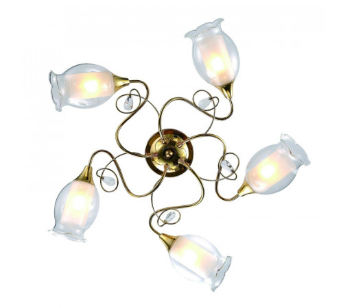 Потолочная люстра Arte Lamp Mughetto A9289PL-5GO Потолочная люстра Arte Lamp Mughetto A9289PL-5GO