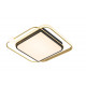 Потолочная люстра Arte Lamp Albireo A2658PL-58GO