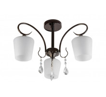 Потолочная люстра Toplight Paola TL2740X-03BC