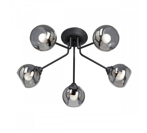 Потолочная люстра Vitaluce V4724-1/5PL Потолочная люстра Vitaluce V4724-1/5PL