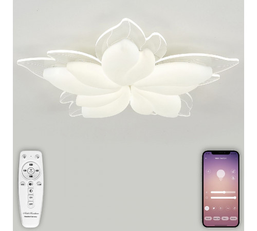 Потолочная люстра Natali Kovaltseva Effect LED LAMPS 81118