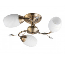 Потолочная люстра Toplight Alana TL3580X-03AB