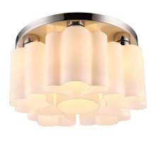 Потолочная люстра Arte Lamp 17 A3489PL-6CC