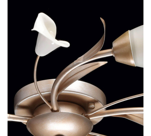 Потолочная люстра MW-Light Восторг 19 242016205