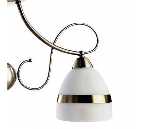 Потолочная люстра Arte Lamp 55 A6192PL-3AB Потолочная люстра Arte Lamp 55 A6192PL-3AB