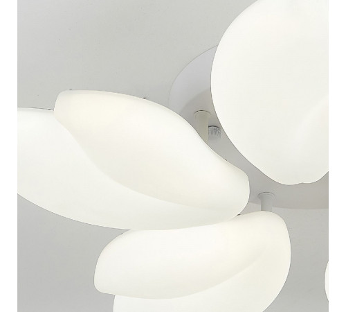 Потолочная люстра Natali Kovaltseva Effect LED LAMPS 81116 Потолочная люстра Natali Kovaltseva Effect LED LAMPS 81116