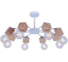 Потолочная люстра Toplight Alisha TL1197X-08AB